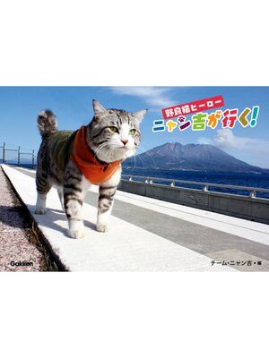 cover image of 野良猫ヒーロー　ニャン吉が行く!  かぎしっぽのアイドル猫「ニャン吉」感動の写真集
